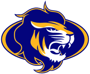 Lions Logo Cut Big Image